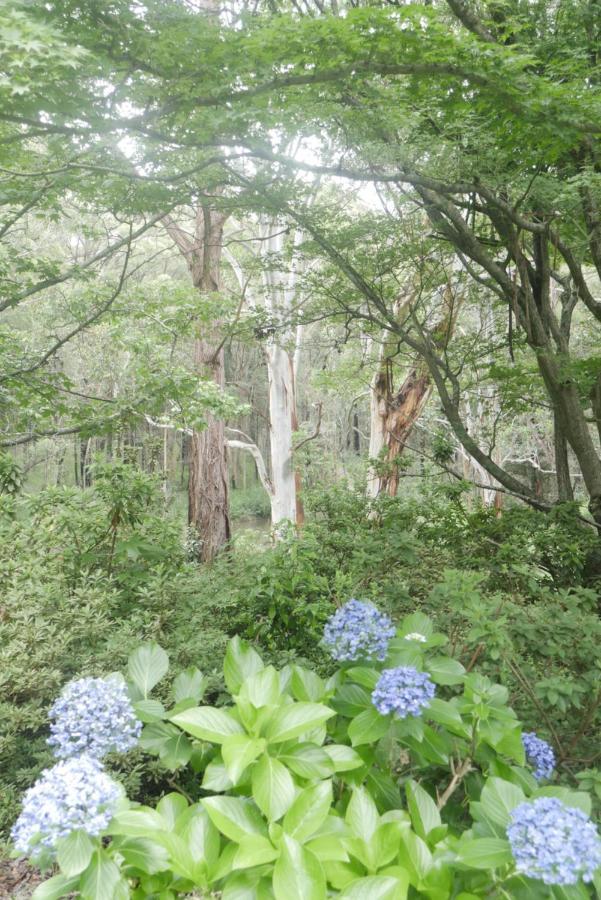 True North - 4Br Home & Garden In Bush Setting With Huge Bath Bilpin ภายนอก รูปภาพ
